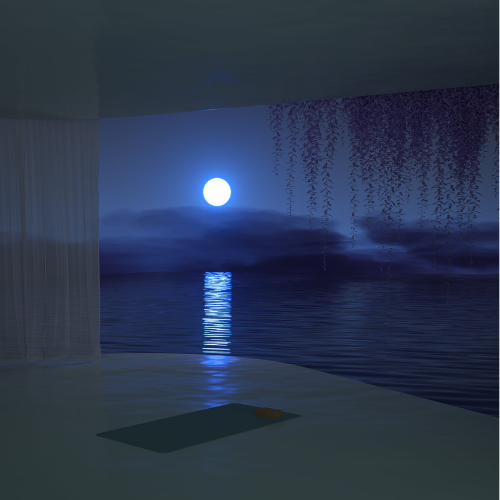 Yoga Nidra 20h Teacher Training